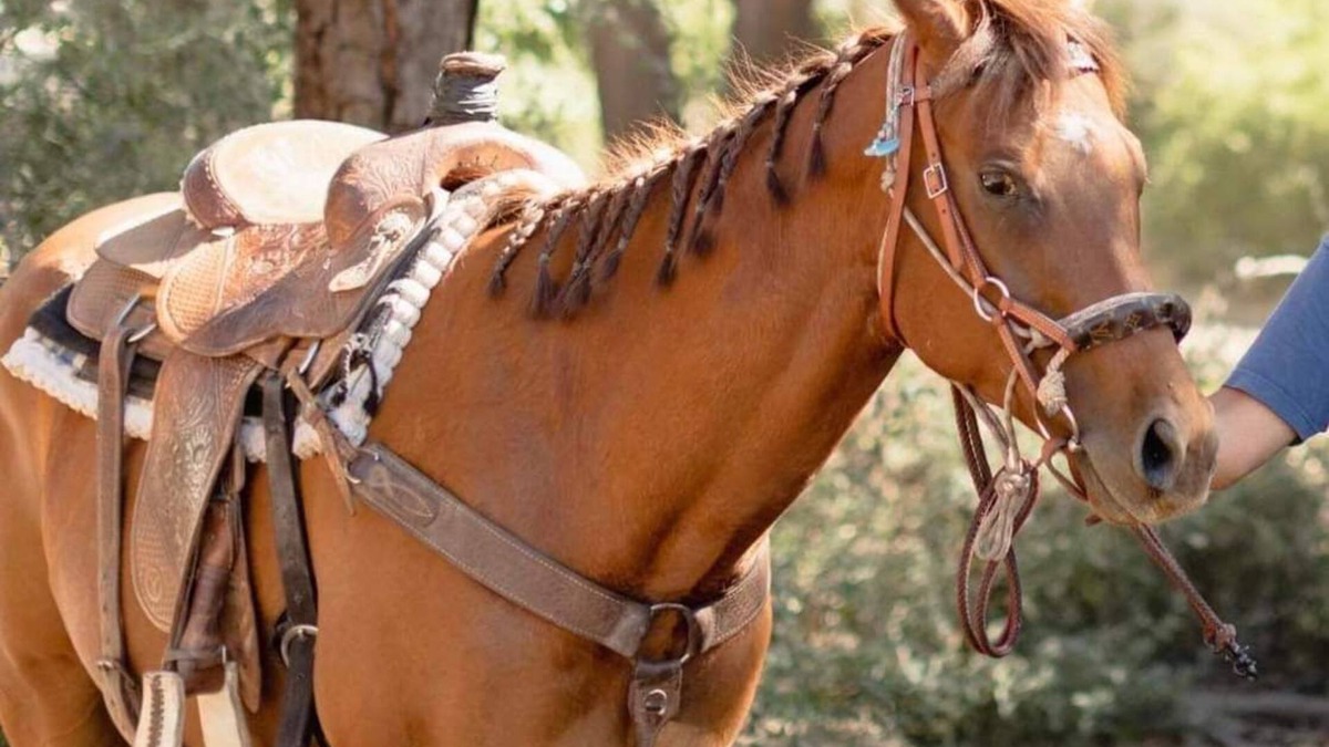 Jamul House | Farm stay in the hills. 15 miles from casino