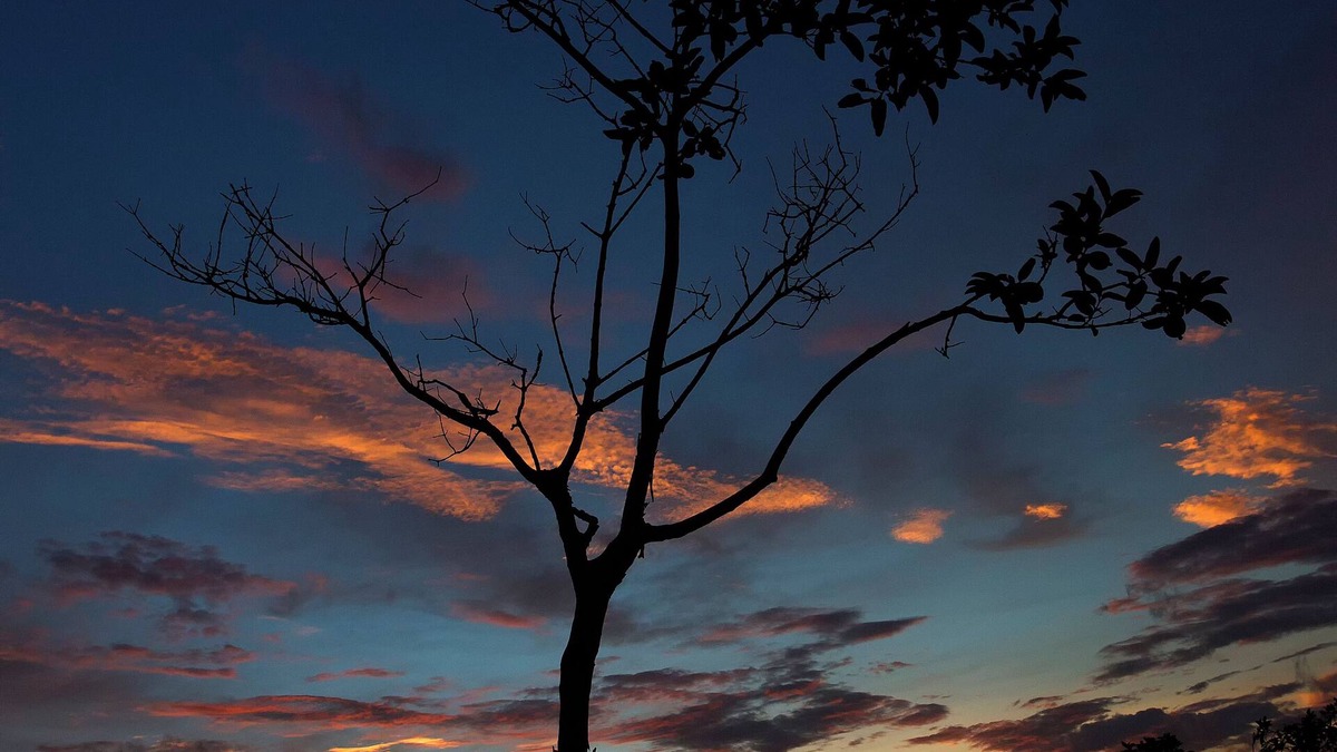 Pan de Azucar Other | FARM STAYnMinutes to ATENAS & AIRPORTnCountryside living