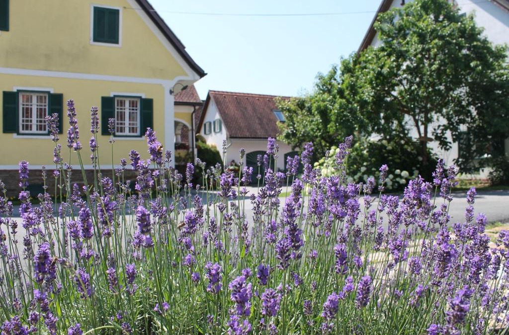 Bad Gams Bed & Breakfast | Farmer-Rabensteiner