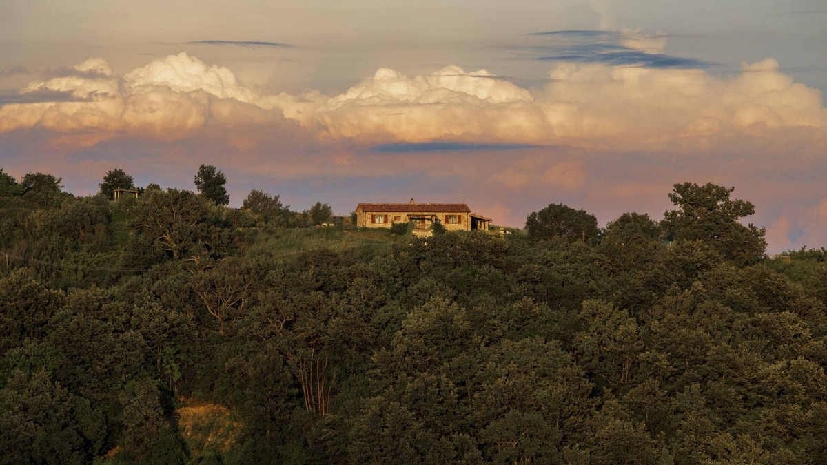 Semproniano House | Farmhouse in the Tuscan countryside