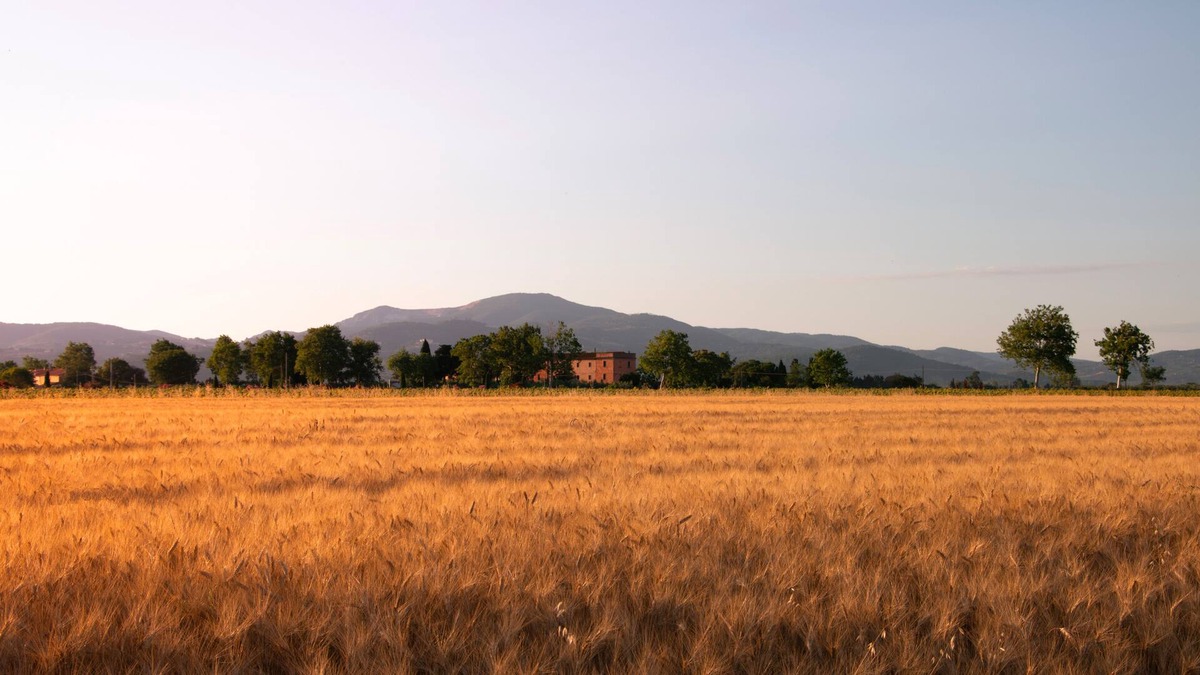 Piombino Other | Farmhouse Pescinone - Ginestra, country and sea