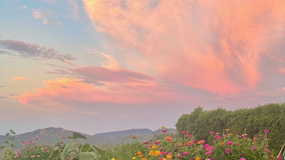 Middletown Other | Farmhouse Retreat with Breathtaking Views of Mt. St. Helena – Perfect for Groups