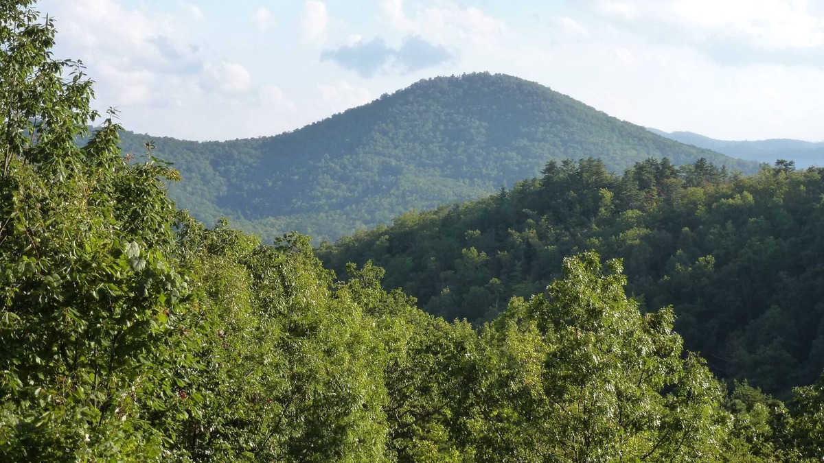 Black Mountain Cabin | Farside CabinnSecluded mountain top getaway with mountain views & rustic charm