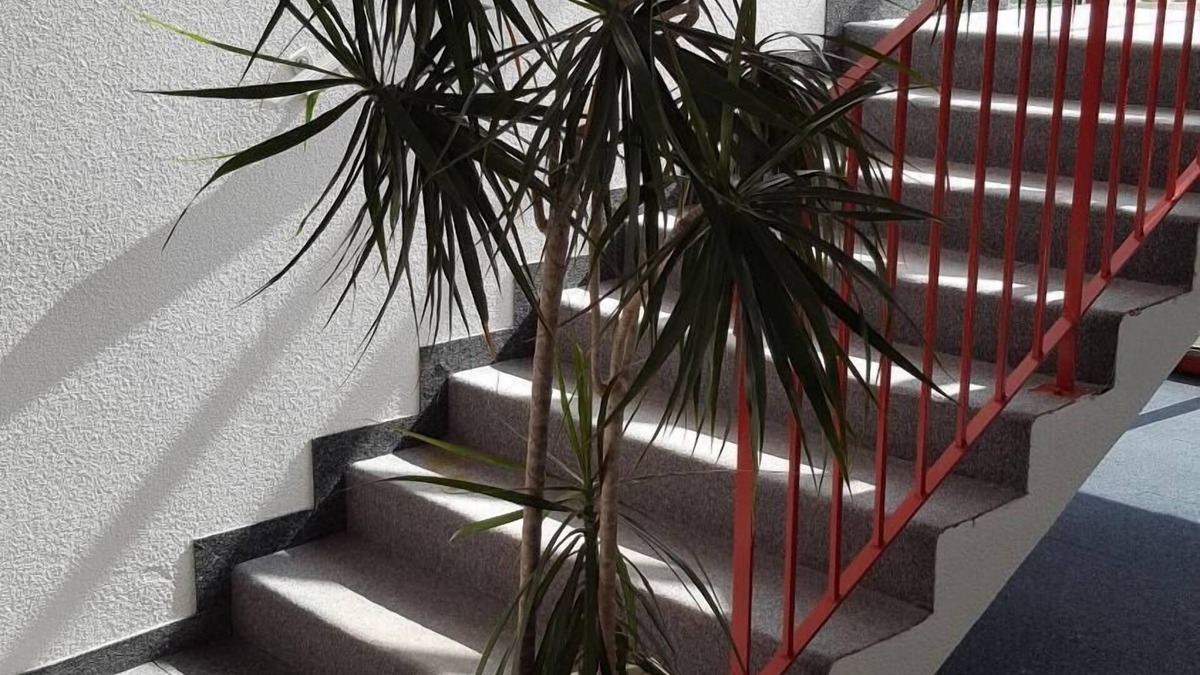 Semeac Hotel | Fasthotel Tarbes