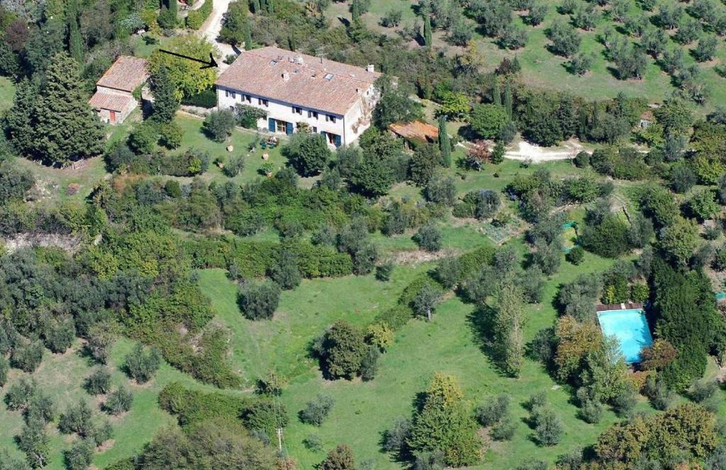 Fiesole Apartment | Fattoria il Leccio - Elegant Suite on Florence Hills