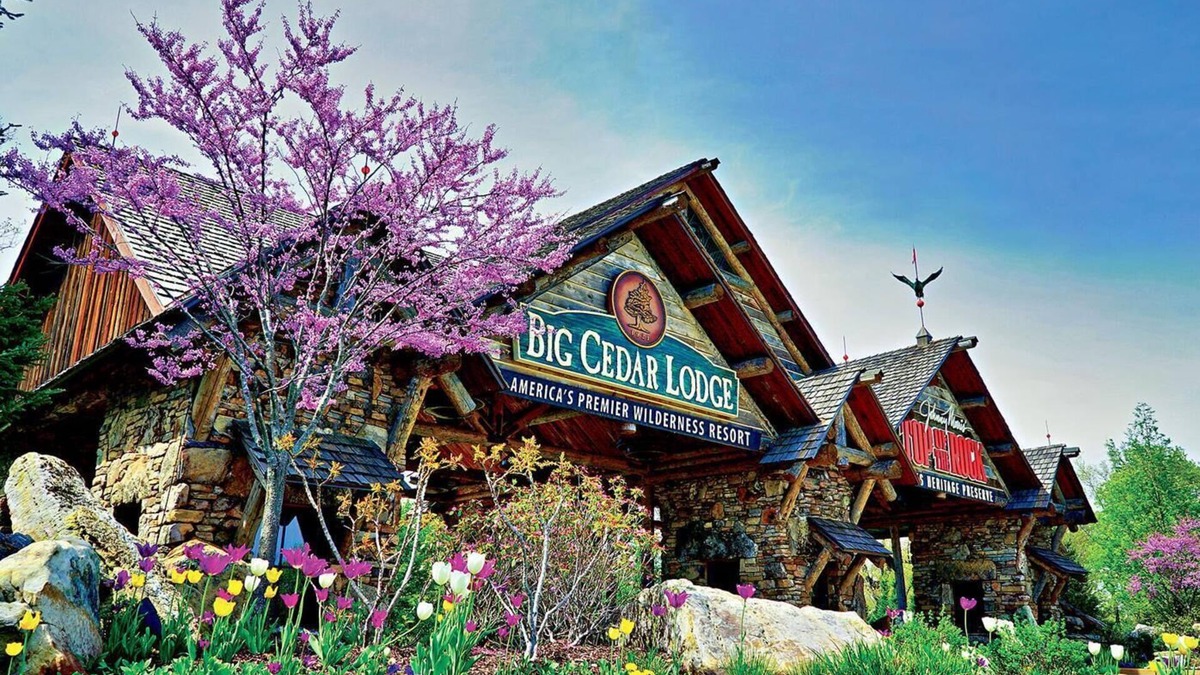 Big Cedars Cabin | Feb 10th-17th - Beautiful Lodge, Scenic Views, Family Friendly