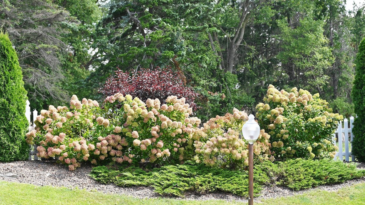 Canton Hotel | Fellows Creek Lodge