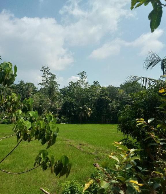Baddegama House | FENDI eco lodge