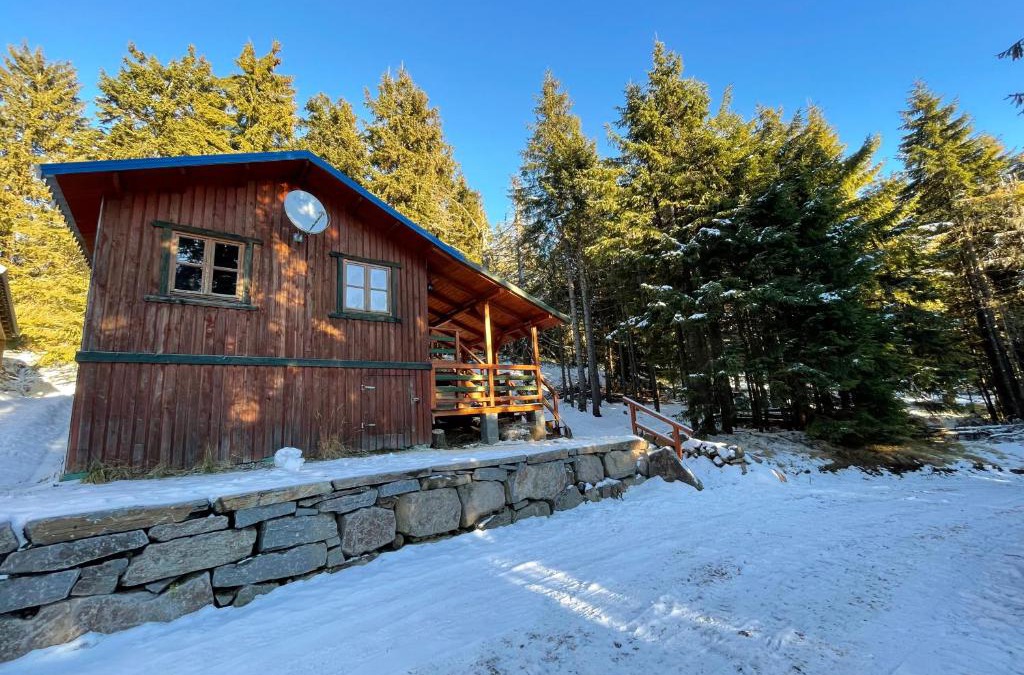 Zetea Ski Chalet | Fenyőtoboz kulcsosház