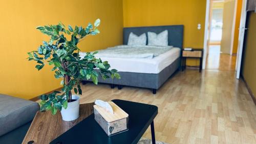 Breitenrain-Lorraine Apartment | Ferdinands Gateaway inkl Breakfast