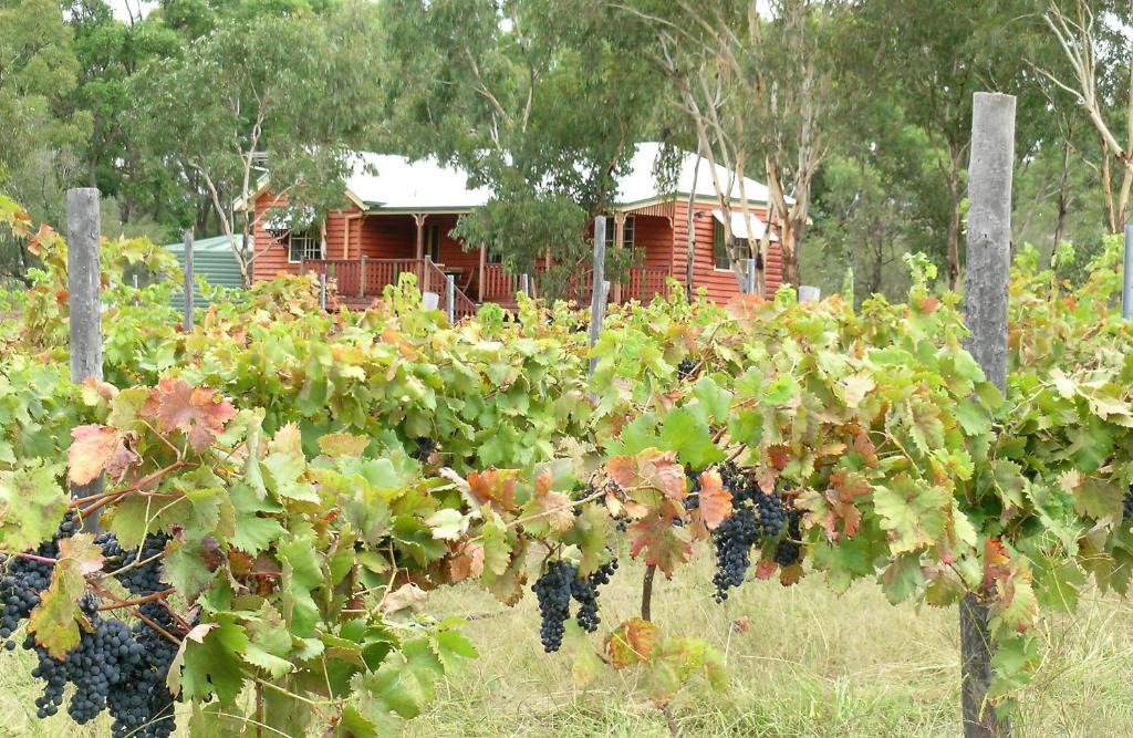Ballandean House | Fergies Hill Spa Cottage @ Granite Ridge Wines