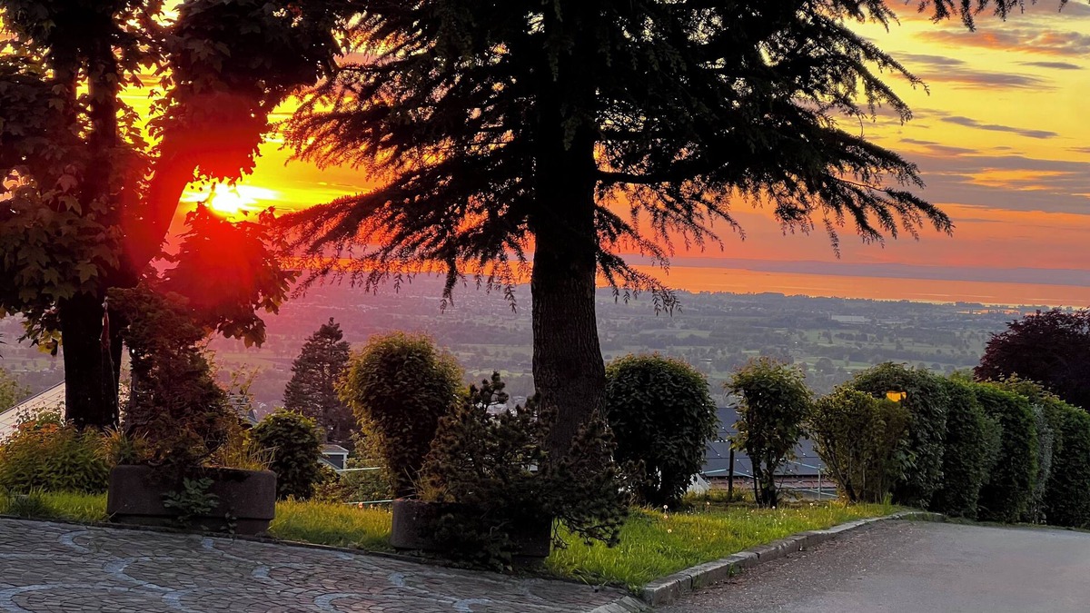 Dornbirn Apartment | Ferien im Grünen, 7min in die Stadt in Absoluter Ruhe mit Aussicht