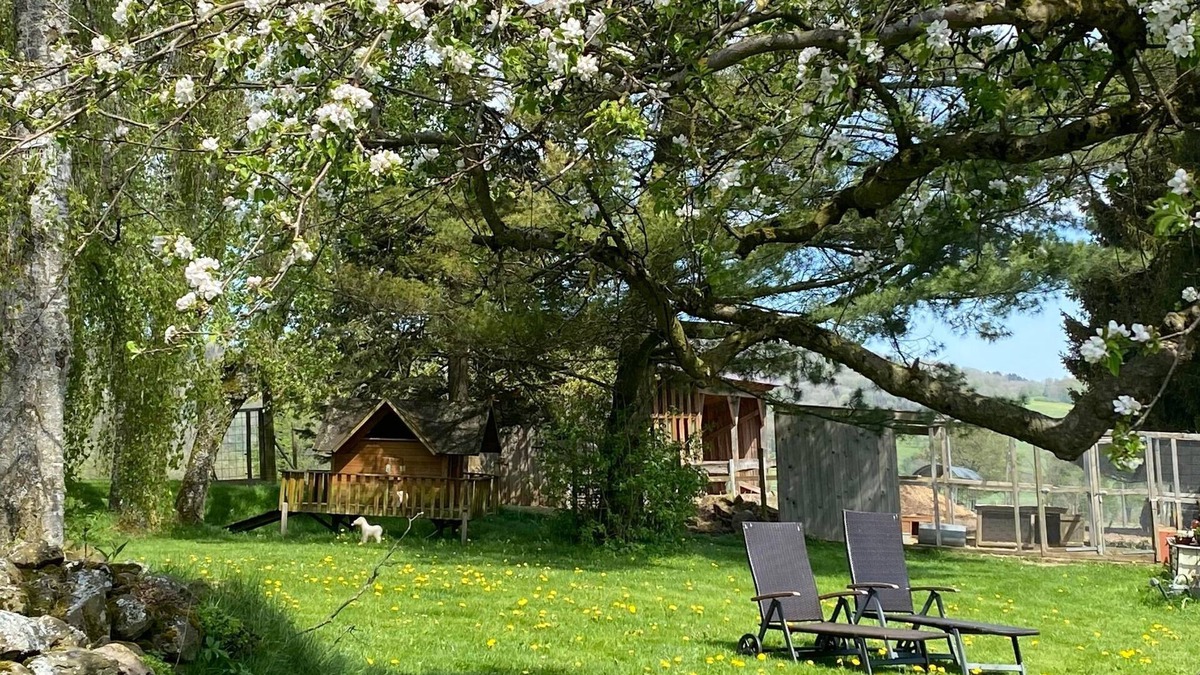 Ehrenberg Apartment | Ferienhof Heufelder Hof - Holiday apartment 4