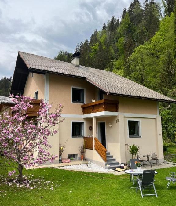 Pfarrwerfen Apartment | Ferienhaus am Fritzbach