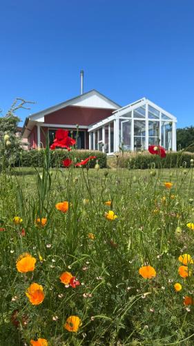 Lohme House | Ferienhaus bei den Kreidefelsen - Ihr Zuhause auf Rügen