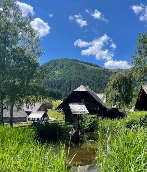 Irdning-Donnersbachtal Resort | Ferienhaus Bettina Rassis Feriendorf Donnersbachwald