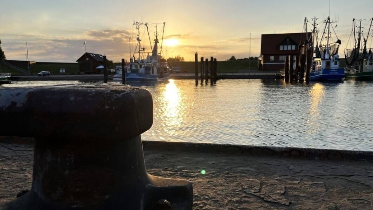 Butjadingen Apartment | Ferienhaus für 10 Gäste mit 140m² in Eckwarden