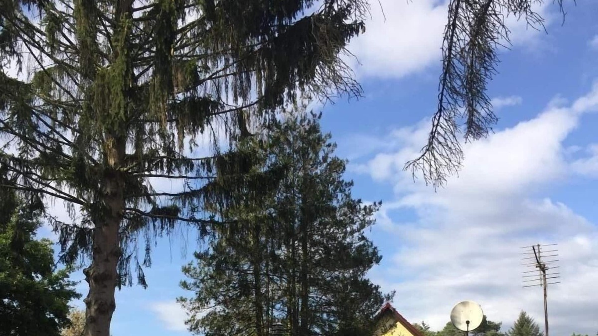 Oberhavel House | Ferienhaus für 2 Gäste mit 40m² in Oranienburg