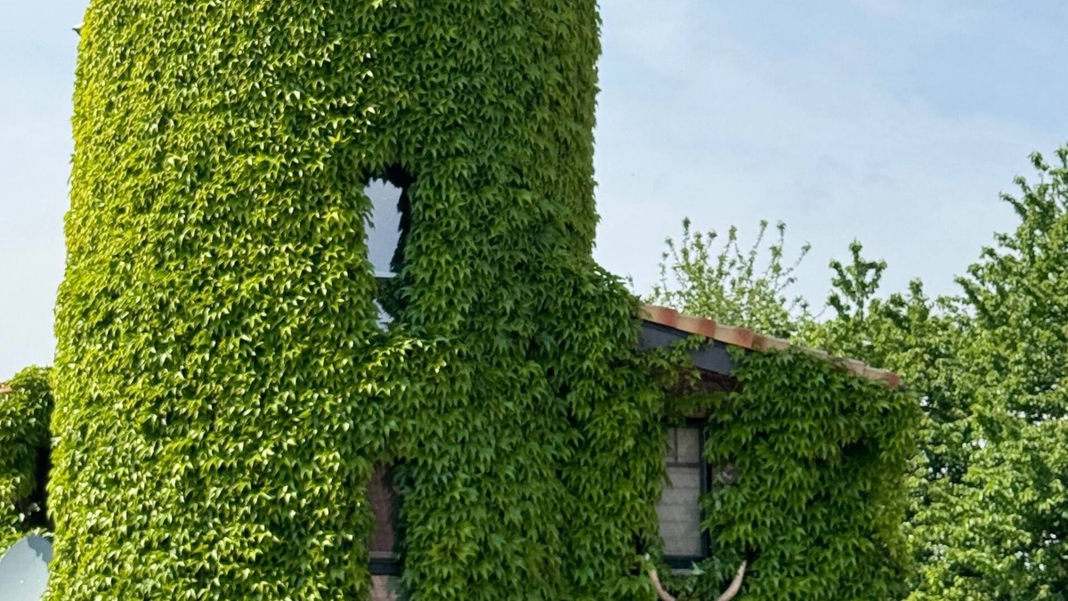 Lohnen House | Ferienhaus für 3 Gäste mit 80m² in Voerde