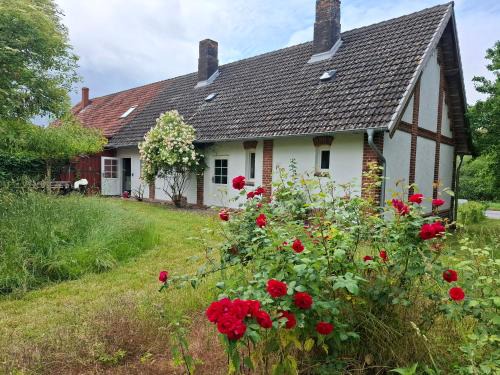 Lalendorf House | Ferienhaus in Mecklenburg mit gemütlichem Innenhof