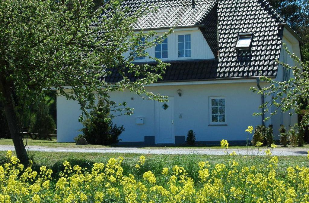 Mariendorf Apartment | Ferienhaus Kranich _ Wohnung 2_1