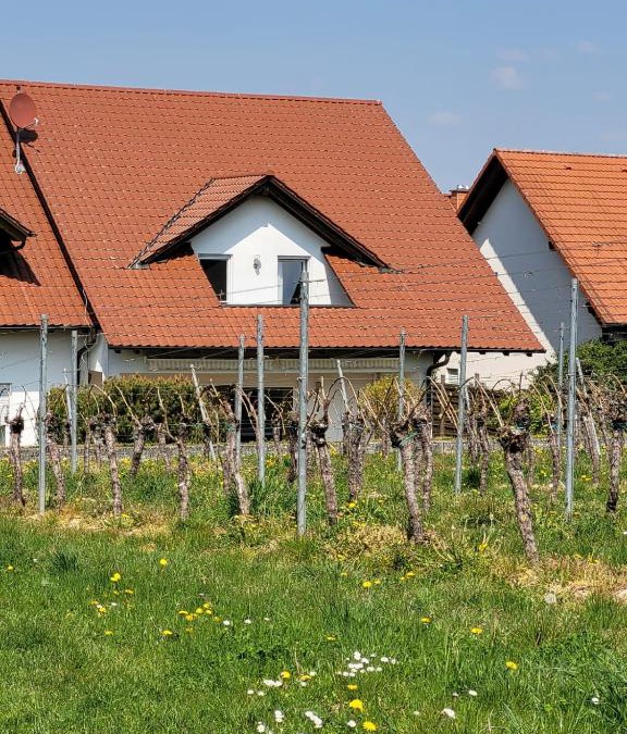 Oberhausen House | Ferienhaus Vongerichten