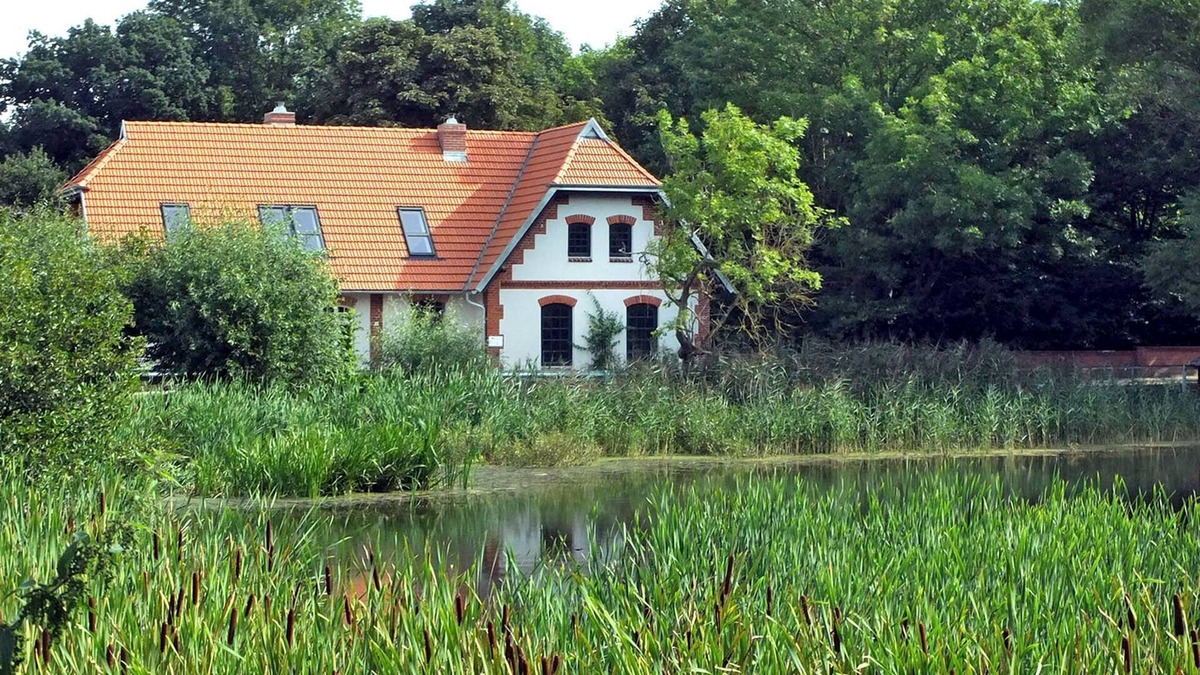 Hohen Demzin House | Ferienhaus Wassermühle Klein Köthel Schw 1091 - Schw 1091