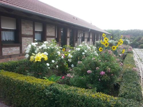 Schoeneberg b. Angermuende Apartment | Ferienhof am Nationalpark