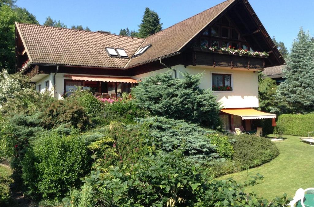Goritschach Apartment | Ferienwohnungen Salmen
