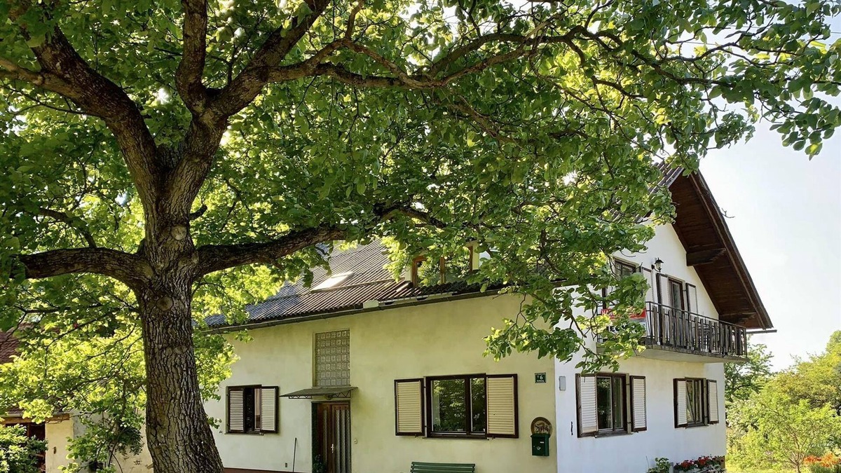 Ilz Apartment | Ferienwohnung "sternschnuppe" Eichberg - Ferienwohnung mit Terrasse bis zu 6 Personen