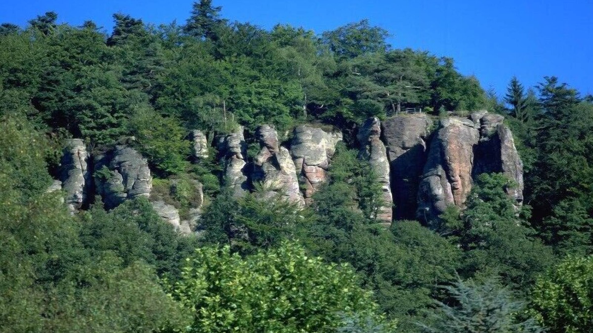 Bad Herrenalb Apartment | Ferienwohnung, 33 qm, 1 Wohn-/Schlafbereich, max. 2 Personen