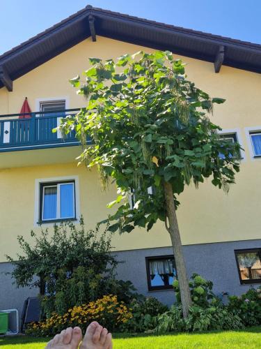 Wald Apartment | Ferienwohnung am Stadtrand