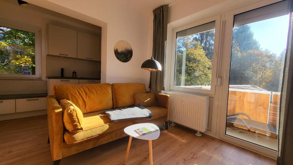 Bockswiese Apartment | Ferienwohnung Berglodge 11 Hahnenklee Bockswiese