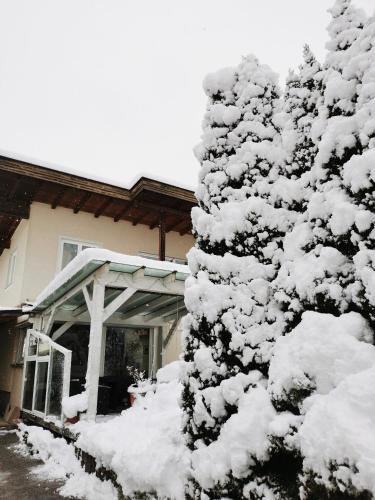 Ried im Zillertal Apartment | Ferienwohnung Christina