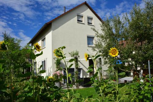 Metzingen Apartment | Ferienwohnung - DaMIsa House
