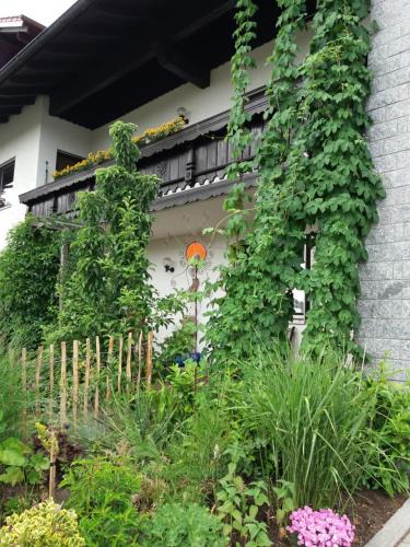 Bobrach Apartment | Ferienwohnung Gegenfurtner