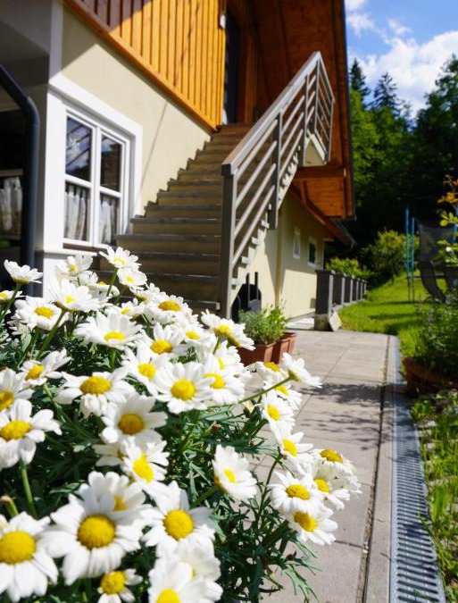 Leutschach Apartment | Ferienwohnung Heidi