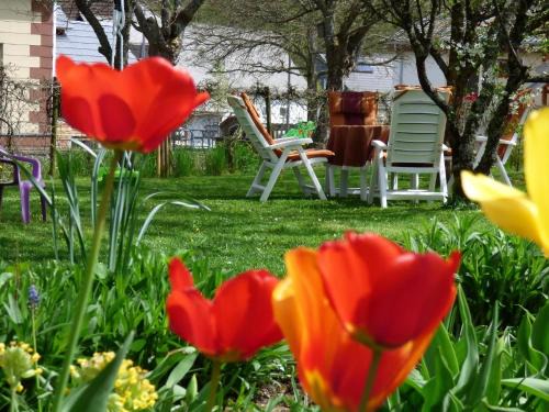 Siesbach Apartment | Ferienwohnung In Siesbach