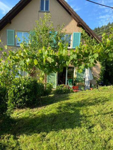 Obertsrot Apartment | Ferienwohnung Kräutergarten