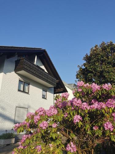 Langenargen Apartment | Ferienwohnung Magnolie in Langenargen