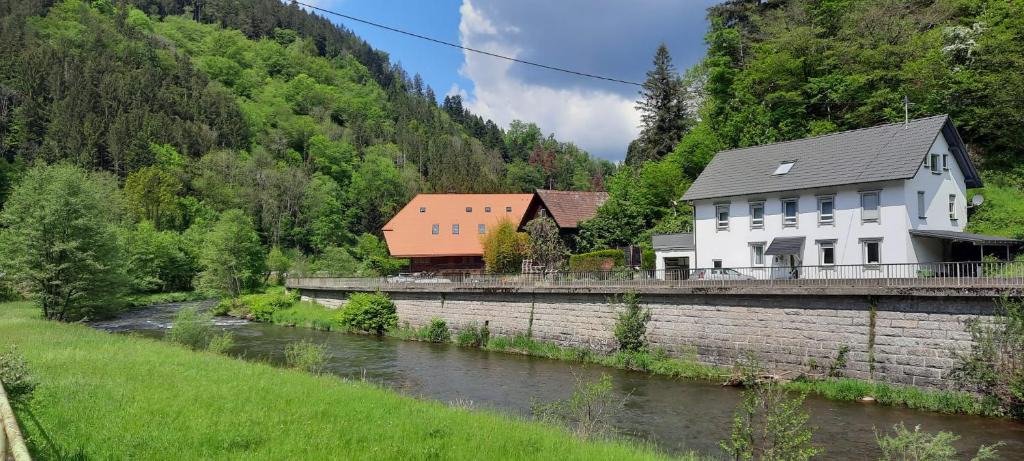 Kinzigtal Apartment | Ferienwohnung Moritz im Schwarzwald