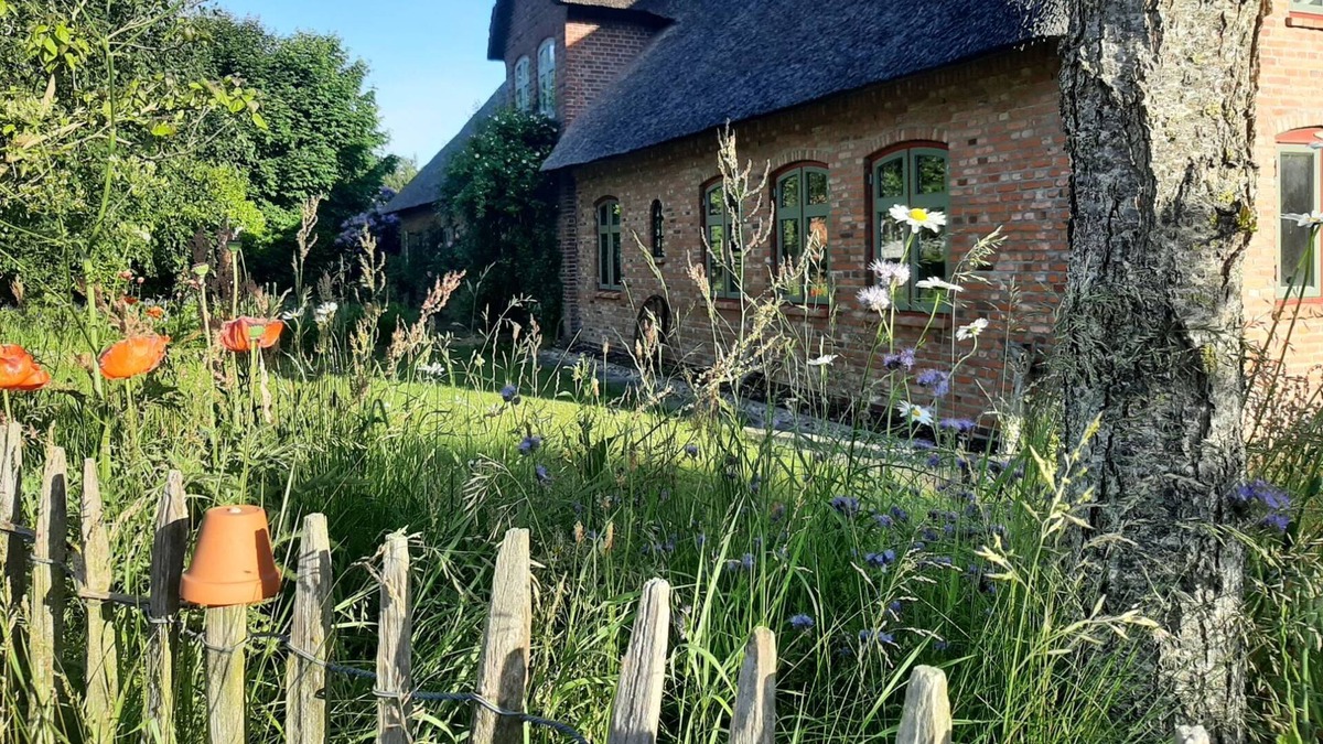 Braderup Apartment | Ferienwohnung Nordfriesland Pur