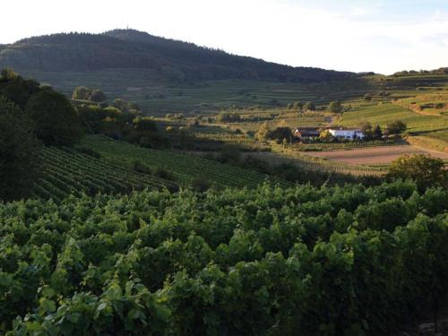 Boetzingen Apartment | Ferienwohnung Schambachhof