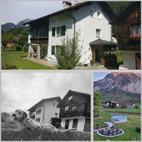 Obertraun Apartment | Ferienwohnung Stricker