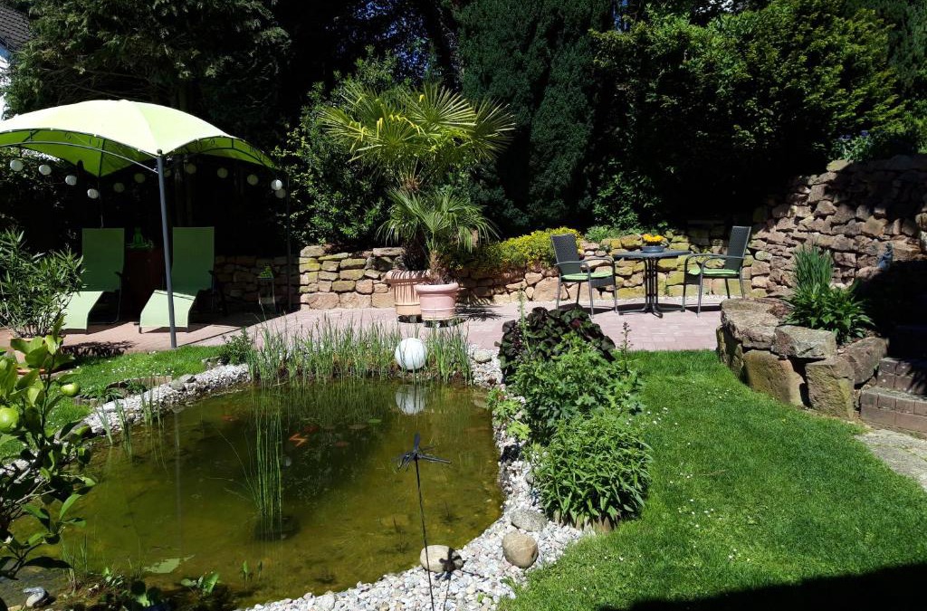 Rimbach Apartment | Ferienwohnung Trommblick - Natur Pur - Rimbach im Odenwald