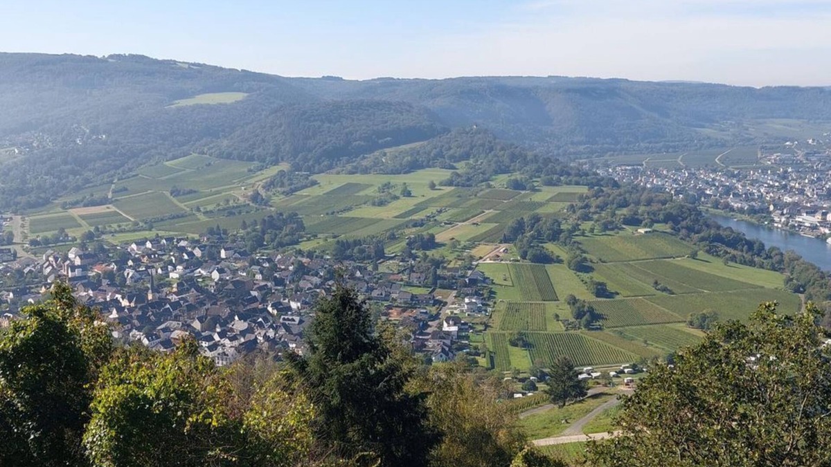 Traben-Trarbach Apartment | Ferienwohnung Wilk - Appartement/fewo