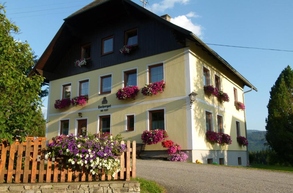 Mariapfarr Apartment | Ferienwohnungen Bachergut