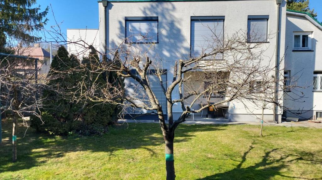 Liesing House | Ferienwohnungen Rodaun