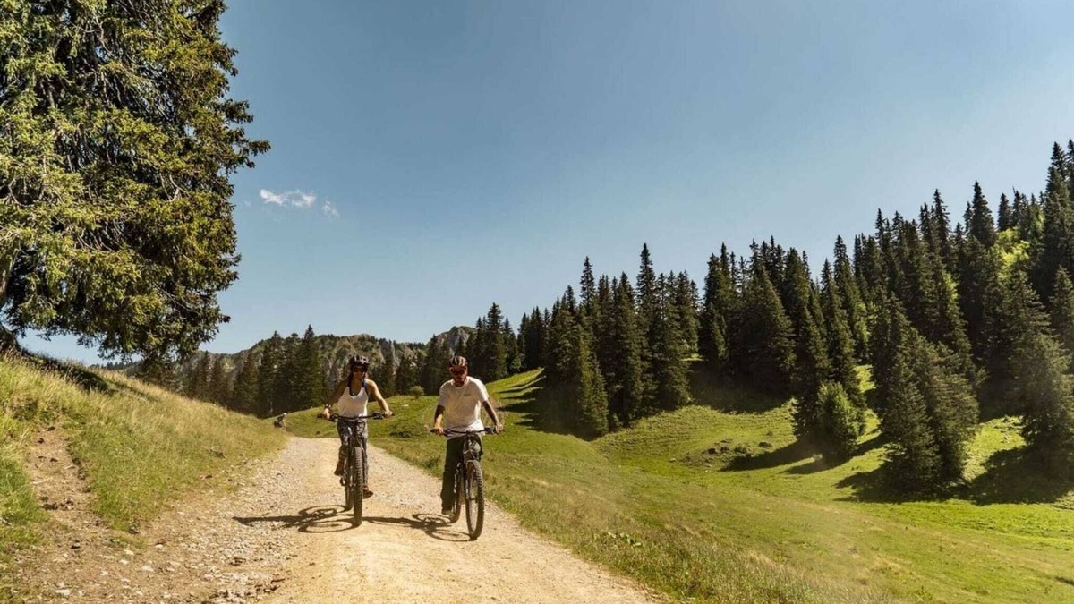 Chatel Apartment | Fermes apartment for 5 people