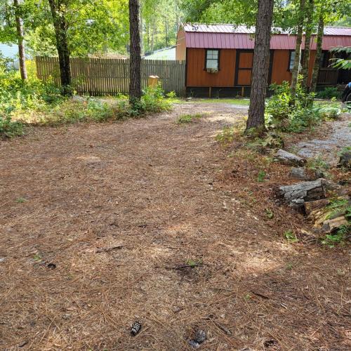 Conway Other | Fern Gully cabin